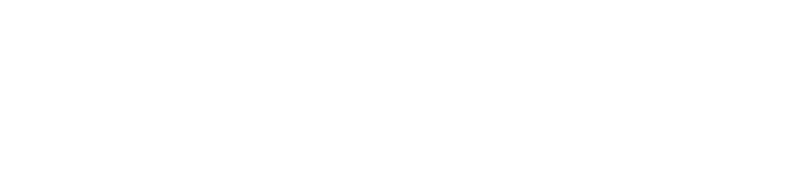 rapsodo